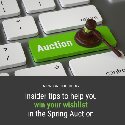 How to Win Your Wishlist in the Spring Auction